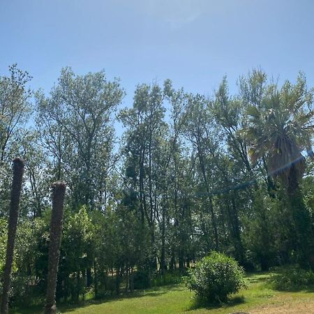 Chalet En Pleine Nature La Roquette-sur-Siagne Ngoại thất bức ảnh