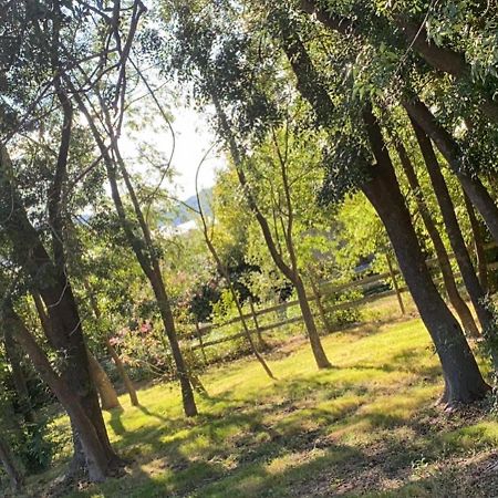 Chalet En Pleine Nature La Roquette-sur-Siagne Ngoại thất bức ảnh