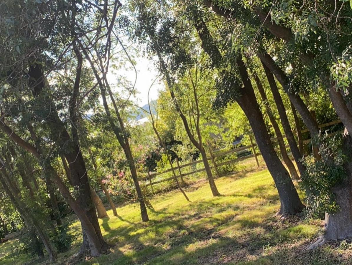 Chalet En Pleine Nature La Roquette-sur-Siagne Ngoại thất bức ảnh